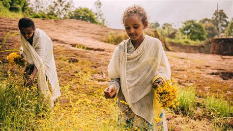 Lễ Ra mắt Cờ Quốc Gia Ethiopia Năm 2009: Một Biểu Tượng về Quốc Tế và Sự Tái Phát Hiện Lịch Sử